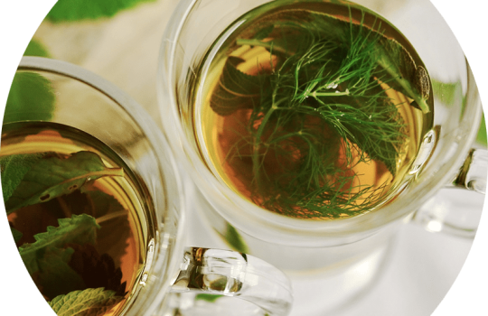 How to Choose Your Own Herbal Tea Label2